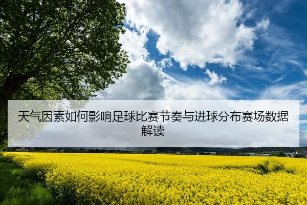 天气因素如何影响足球比赛节奏与进球分布赛场数据解读